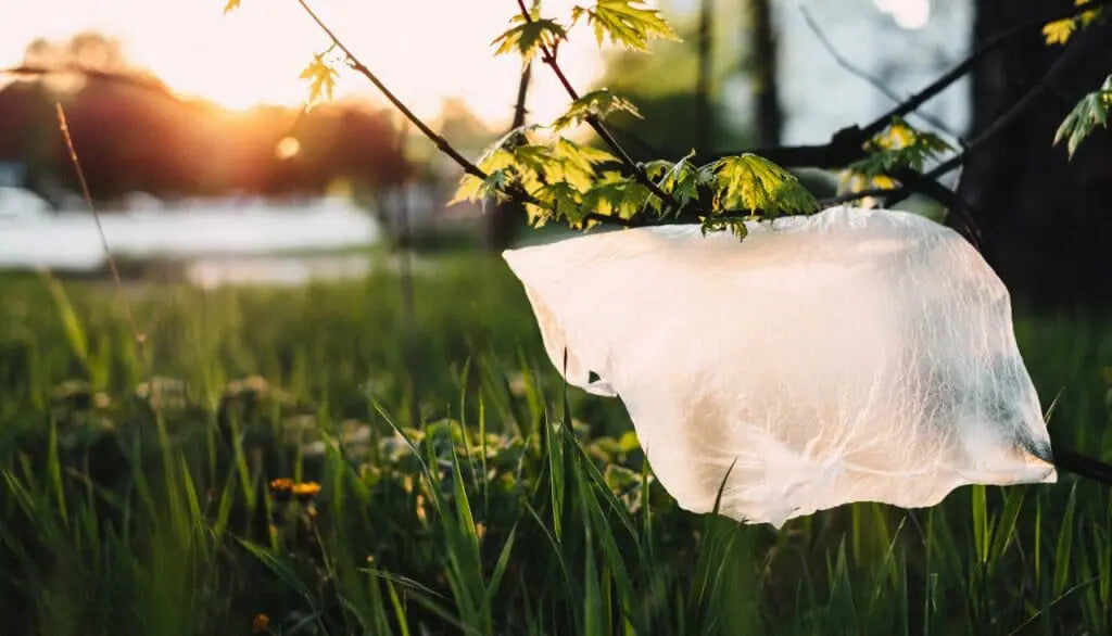 Dónde Guardar las Bolsas de Plástico: Guía práctica – DonBolsas