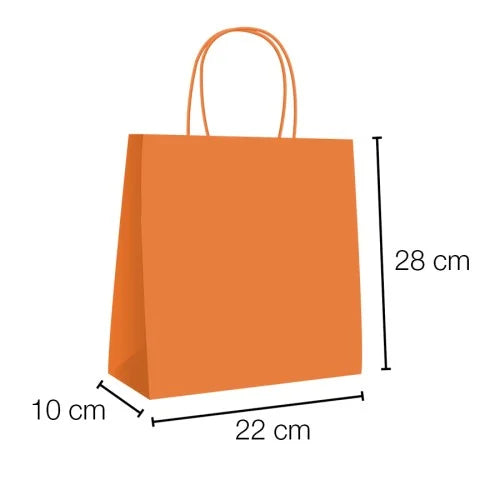 Bolsas de papel kraft con asa rizada - 22 x 28 x 10 cm /