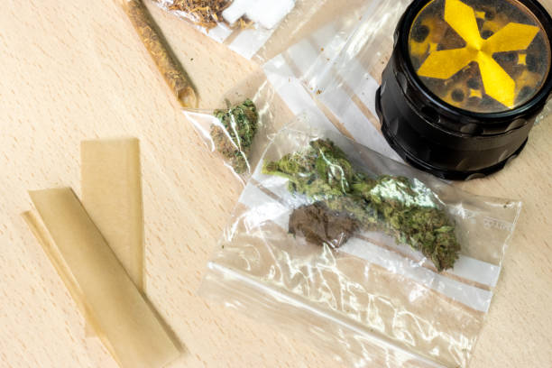 bolsas zip con bandas de escritura para el growshop